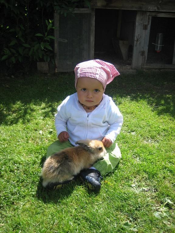 Apart Daniela ฟิสส์ ภายนอก รูปภาพ